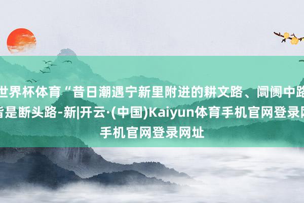 世界杯体育“昔日潮遇宁新里附进的耕文路、阛阓中路等皆是断头路-新|开云·(中国)Kaiyun体育手机官网登录网址