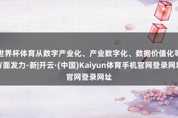 世界杯体育从数字产业化、产业数字化、数据价值化等方面发力-新|开云·(中国)Kaiyun体育手机官网登录网址
