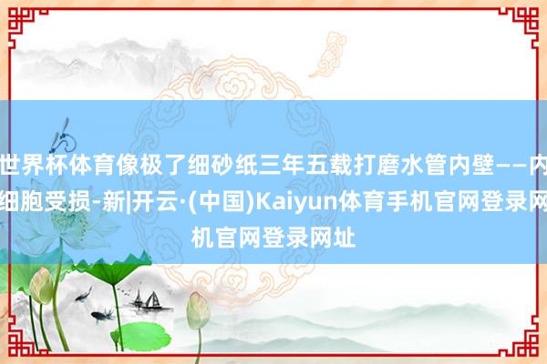 世界杯体育像极了细砂纸三年五载打磨水管内壁——内皮细胞受损-新|开云·(中国)Kaiyun体育手机官网登录网址