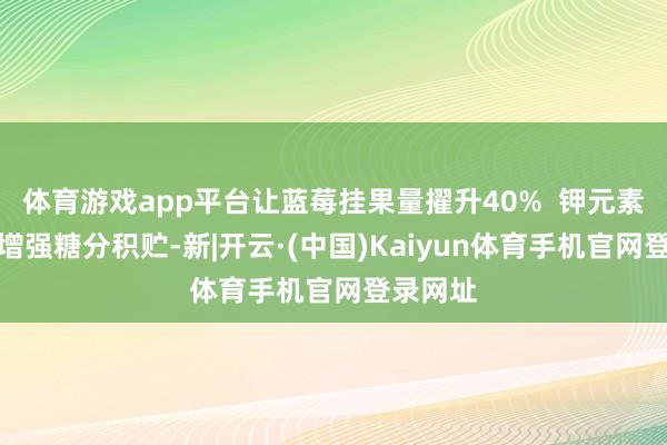 体育游戏app平台让蓝莓挂果量擢升40%  钾元素接济：增强